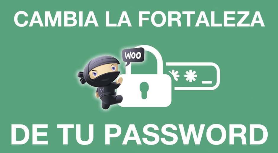Seguridad e-Commerce. WooCommerce. WordPress.
