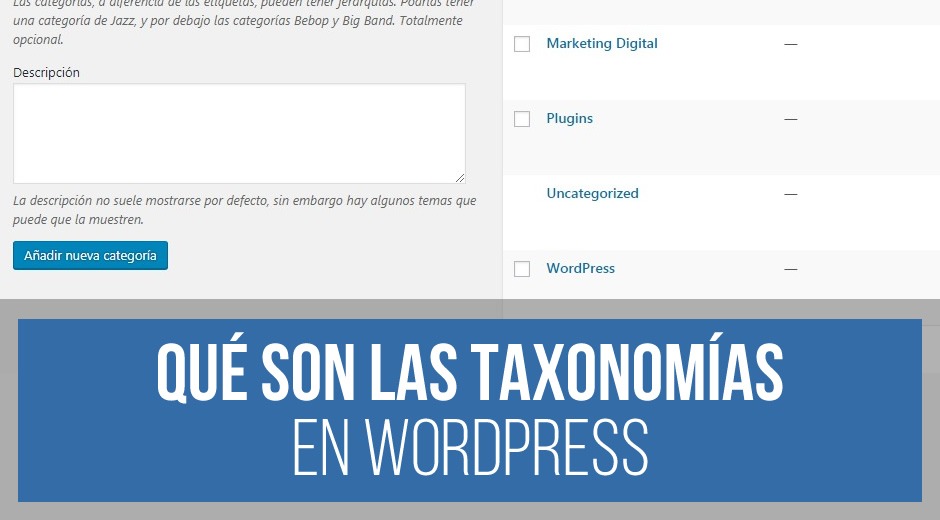 Taxonomía WordPress